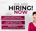 Full time job available in jalandhar