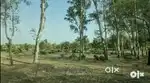 Clear property