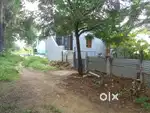 Independent house for lease