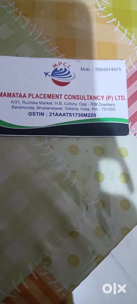 Security for Mamata placement private limited