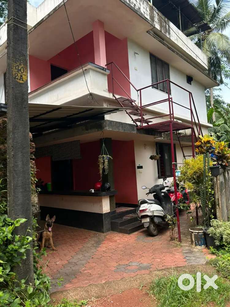 House for rent for bachelors or family