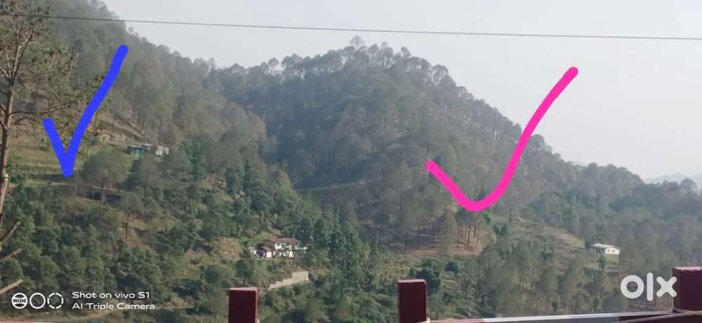 The land where Amit Shah ji is building a university.