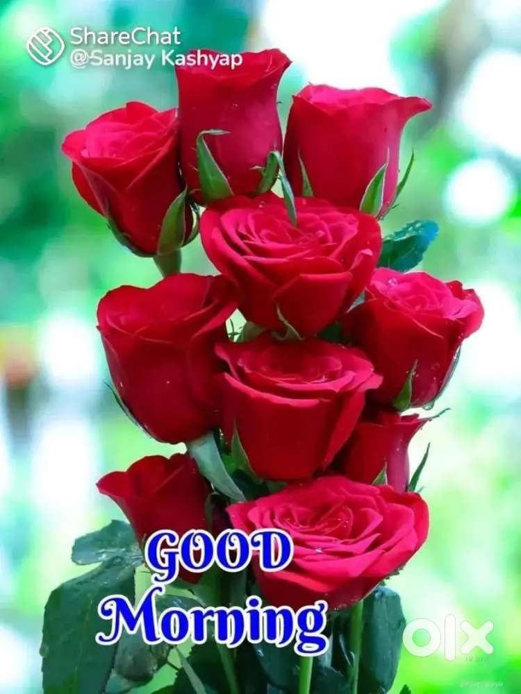 ghar chahiye radhika vihar and vasant vihar k bich me for family