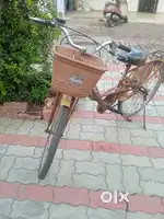 AVON cycle