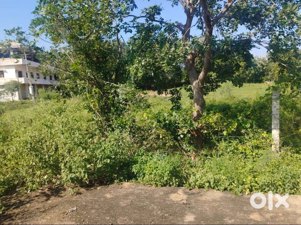 Plot for sale in Ramakarishna Nagar