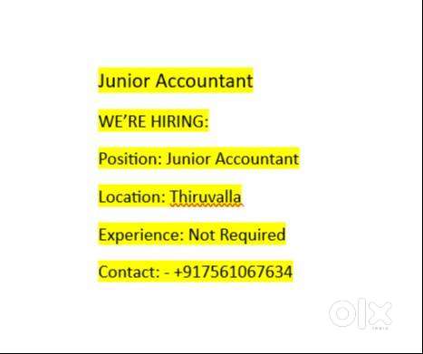 Junior Accountant