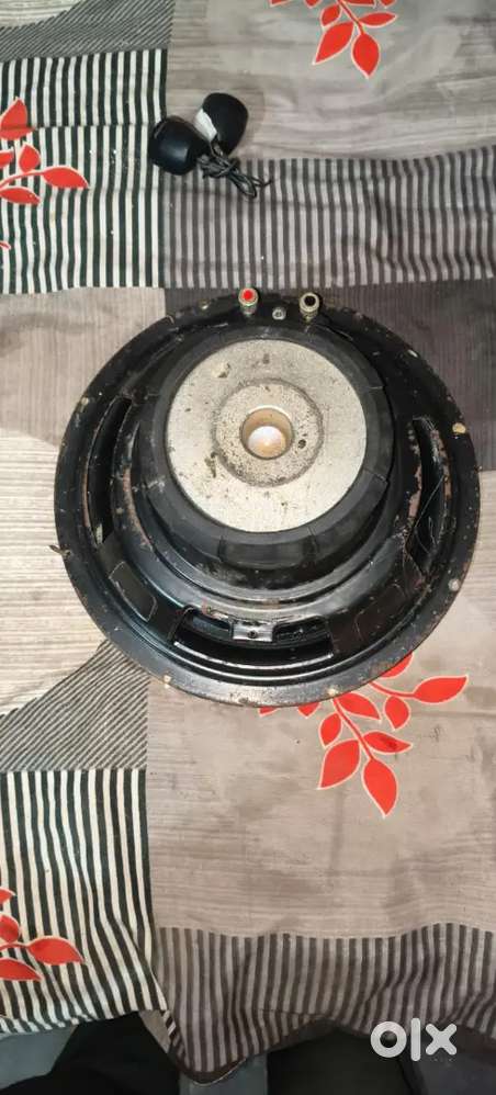 12 inchi speaker do speaker hai