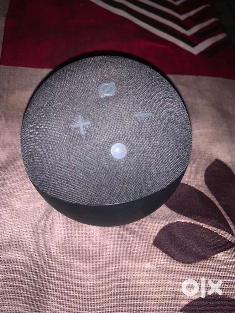 Alexa 4th generation