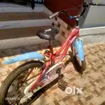 Cycle sale