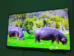 32in 7200 only LED TV today offer