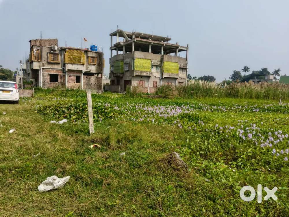 Plot to make instantly home