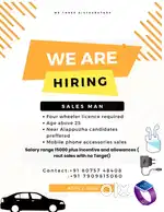 Sales executive