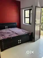 1 bhk for rent in 63 sector mohali for everyone royal property