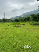 Acriculture land