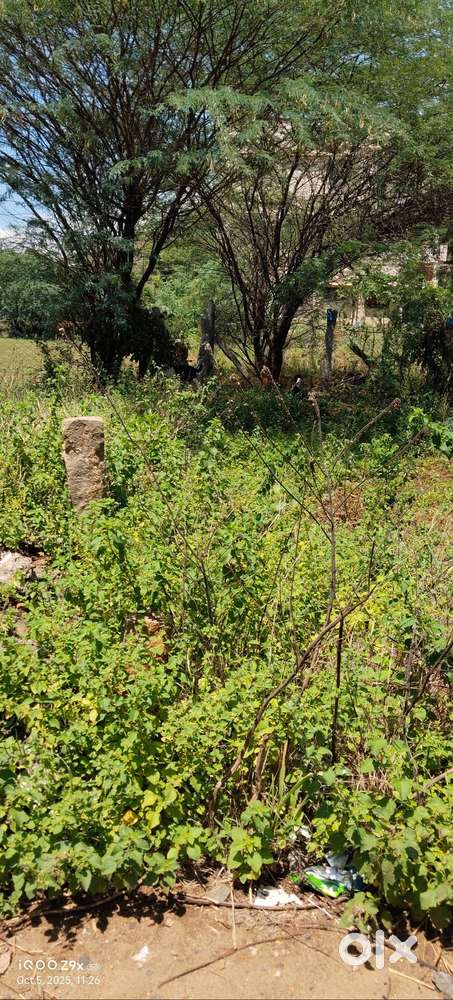 20 Lakhs Corner Plot