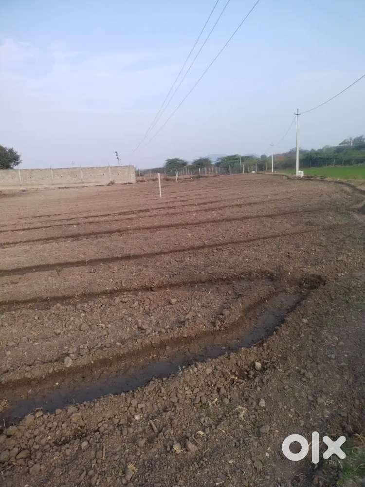 Agricultural Land for sale – 2.5 Acres (₹85 Lacs per Acre)- Negotiable