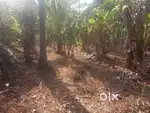 22 cent plot for sale