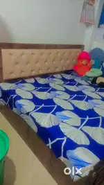 6 × 5.3 bed