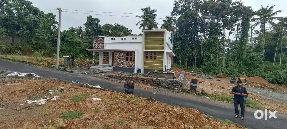 ANGAMALY PULIYANAM JUNCTION NEAR BY 5,6,8, 10 CENT PLOTS AVAILABLE