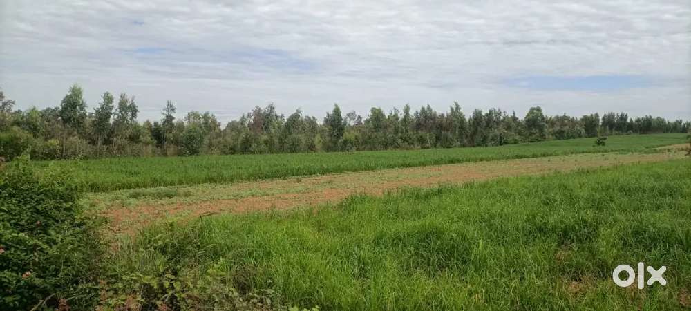 Royal sky properties