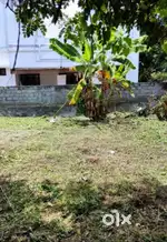 Alanallur 3.5 km distance 10 cent plot ( parambu)