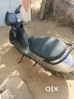 100000 10 day old