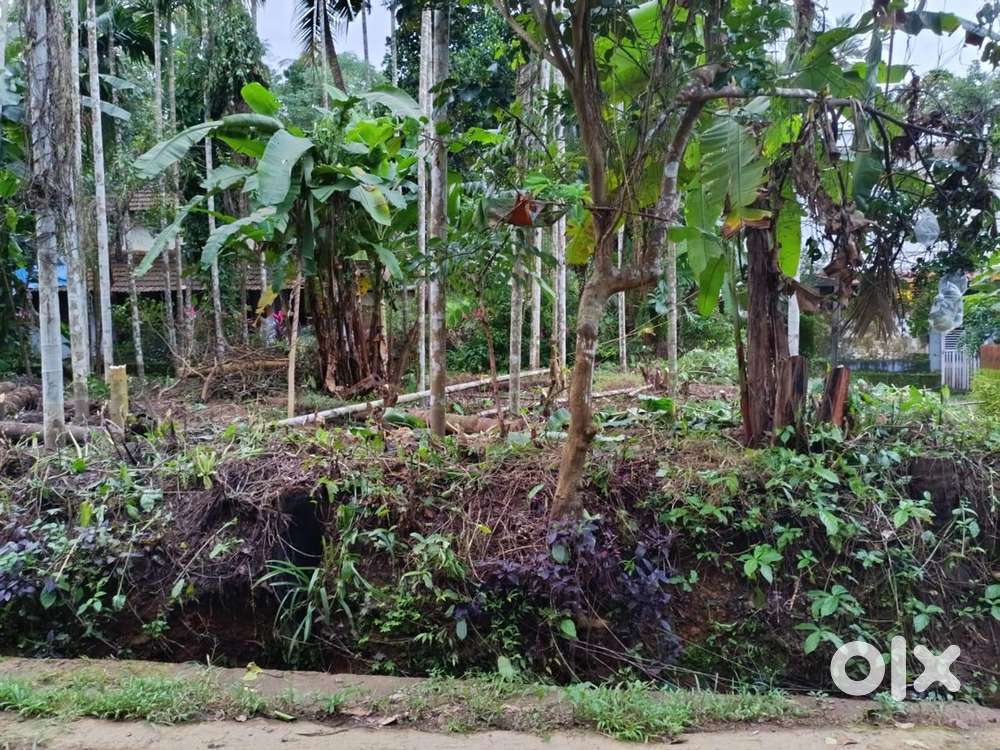 Title-Residential Plot for Sale – Prime Location in Mattannur