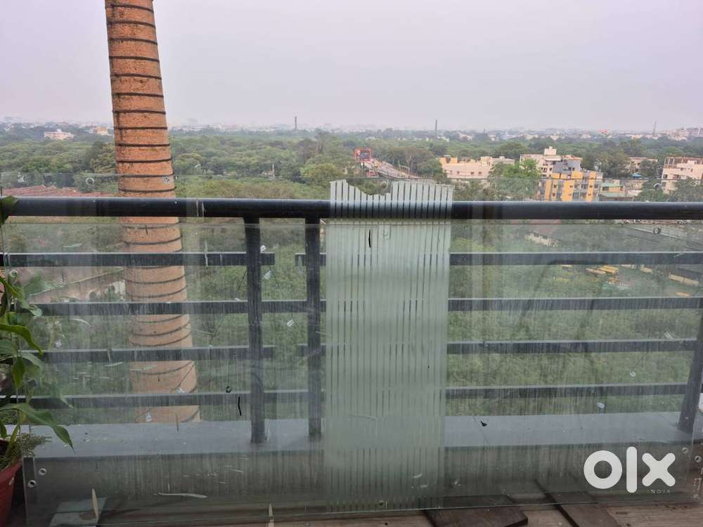 Unused toughned Glasses