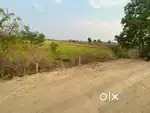 Agriculture land for sale at Bellampally