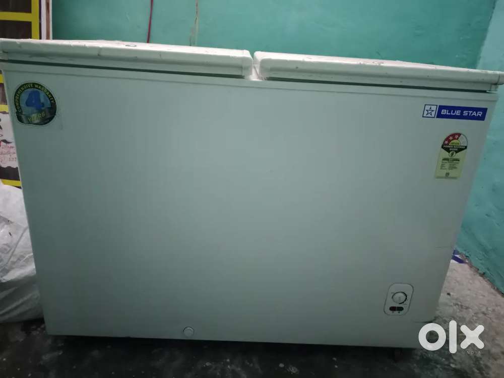 Blue Star Double Door Deep Freezer (293L, White)