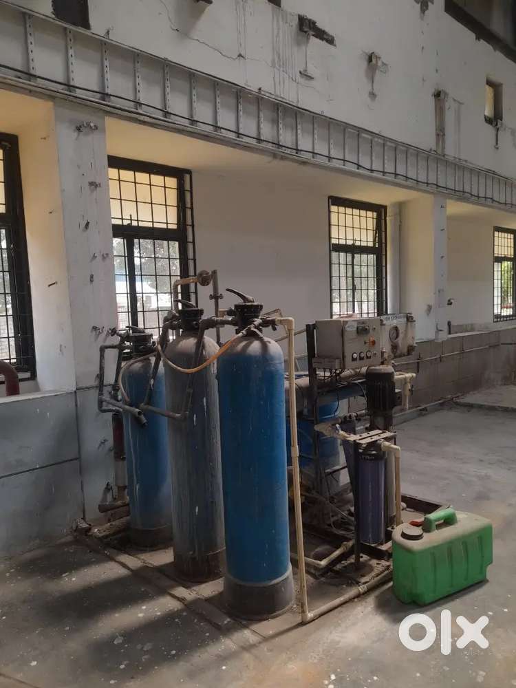 water plant