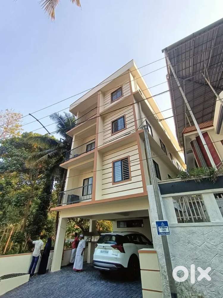 Kakkanad near infopark 3.1cent Appartment for sale