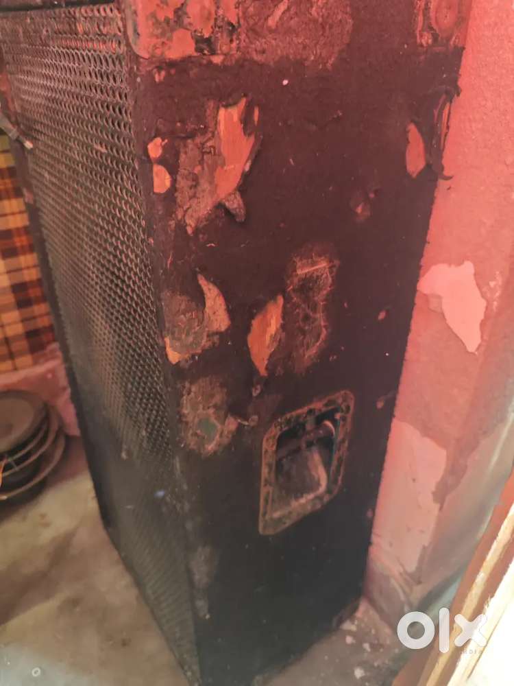 12 inch double colum good audio