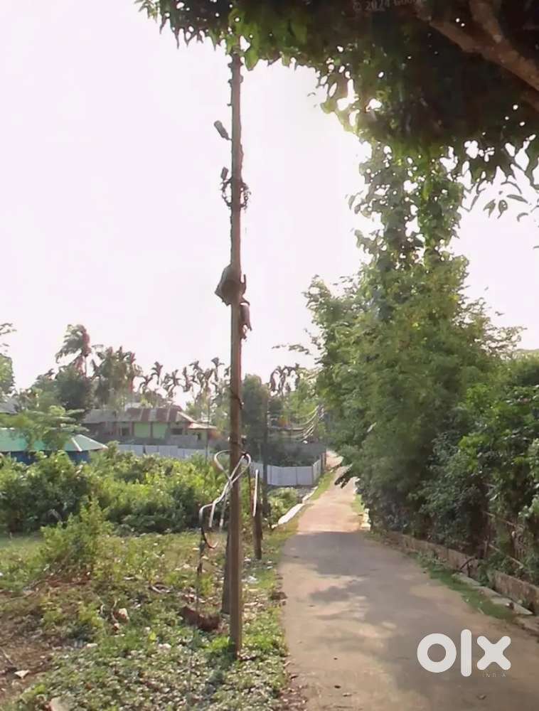 2 gonda jaiga bikri kora hobe amtali bypass er nursing college erpiche