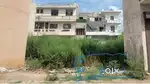 Shop Plot in Centre of Rajpura porsche Area Gobind Colony
