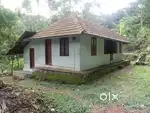 96 CENT, HOUSE, TOILET, WATER, CURRENT, ROAD