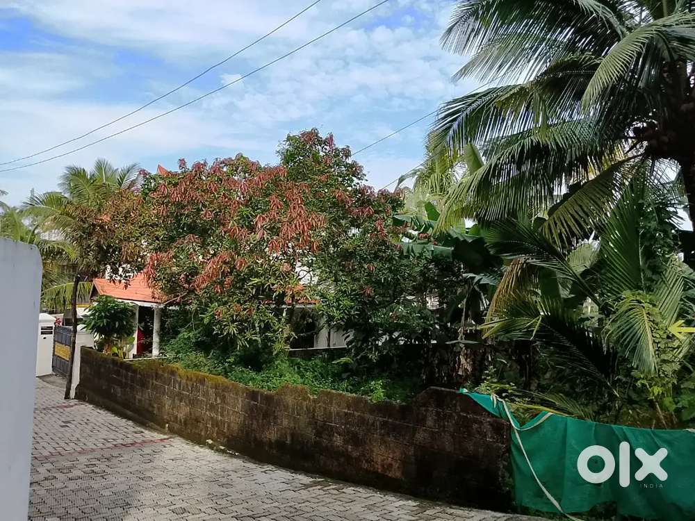 Poojappura Thirumala 8 Cent Dry Land Per Cent 11 LAKHS Negotiable