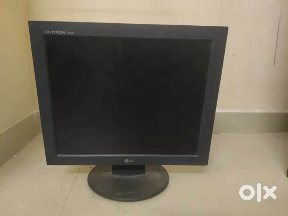 Electronic monitor and printer