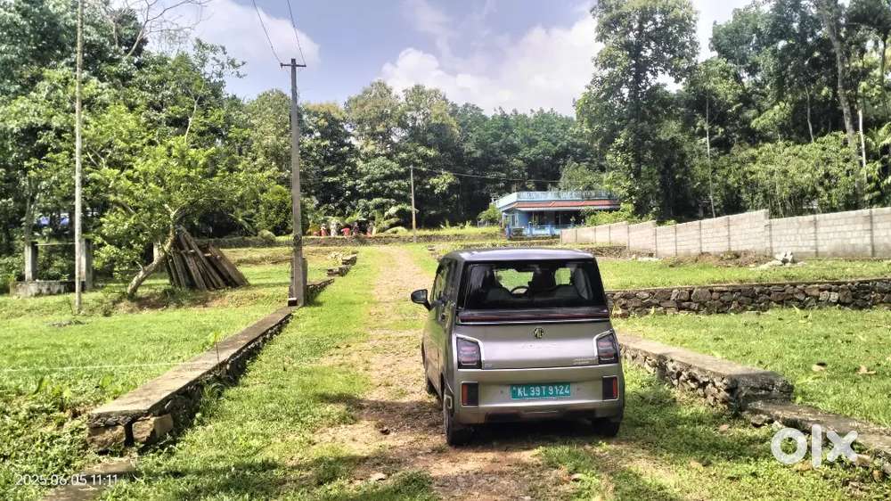 Infopark puthenkurish choodi srappilly area plot for sale