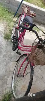 Ladies cycle