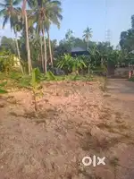 20 cent plot for sale near Pamamcode, Pappanamcode.
