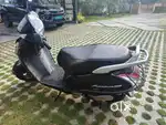 Singil owner