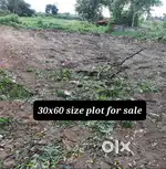 Good area n good surronding