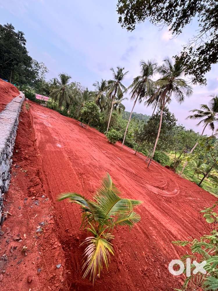 50 സെന്റ് സ്ഥലം വില്പനക്ക്