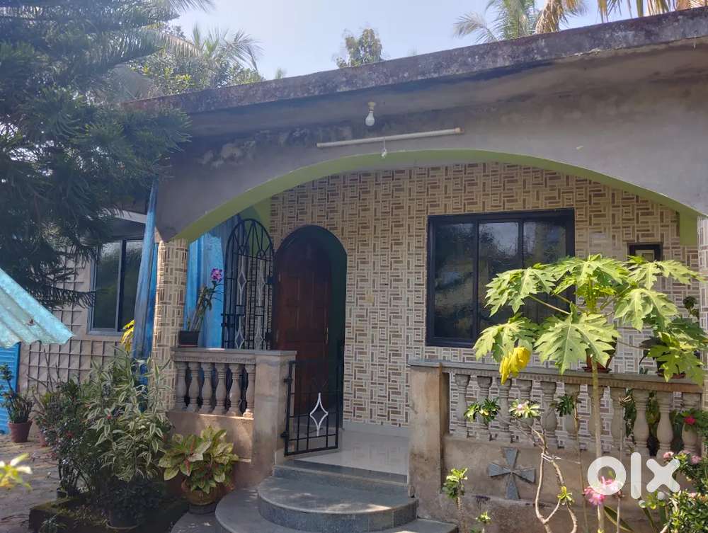 House for sale with plot anyone interested please message me urgent