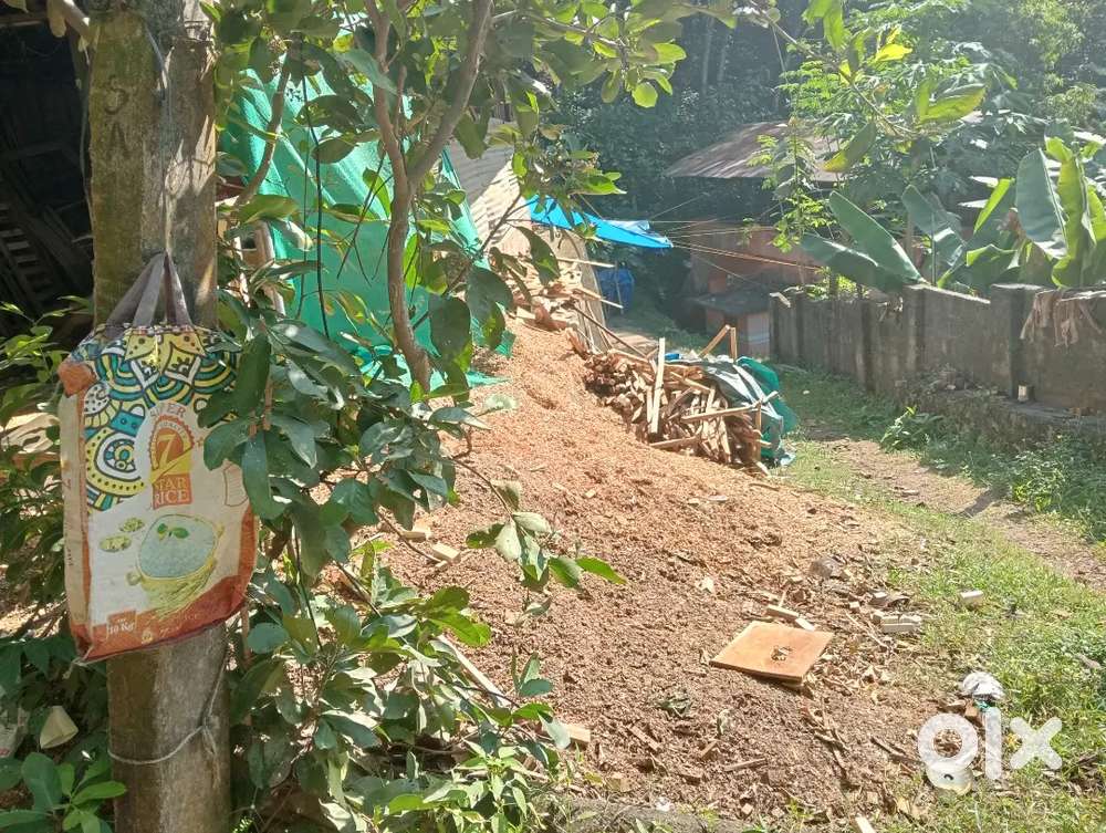 22cent Chathannoor Thirumukke Highway 600 meeter