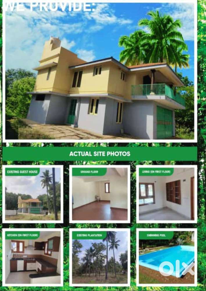 Minimum Returns from Host plants in AROMA SANDOLO