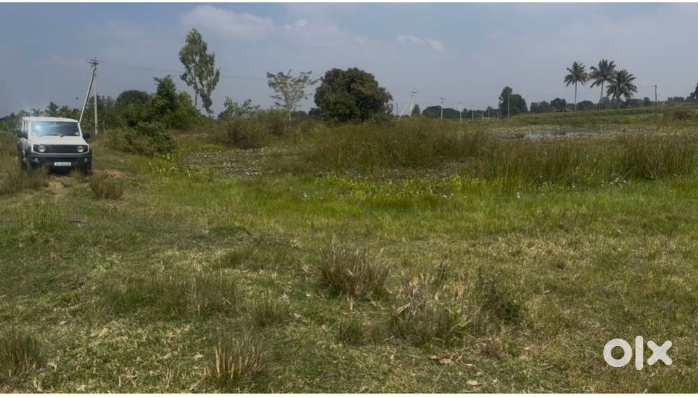 1 acre Propertie near PriyaPatna plane land