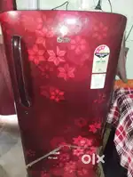 Fridge 1.5 years old