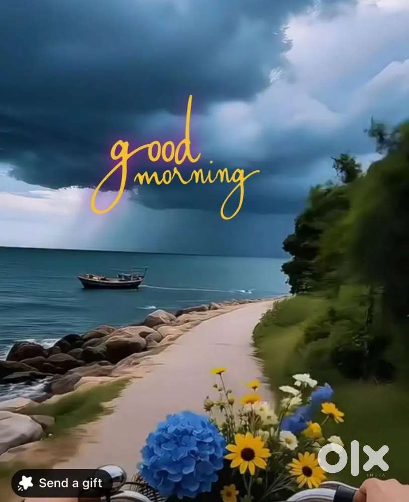 Rajpura Foreigner enclave Near DAV school